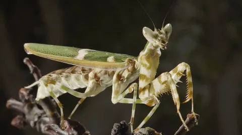 Фильм 837458 — кадр 2