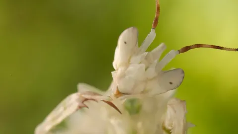 Фильм 837458 — кадр 6