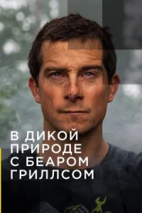 В дикой природе с Беаром Гриллсом онлайн бесплатно